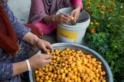 12 Days of Adventure Motorcycle Journey in Pakistan with Rosie Gabrielle